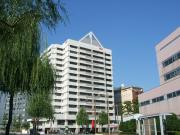 ダイアパレス医学町