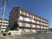 Oasis Makino