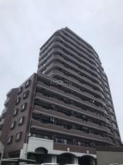 エクセレンス前後