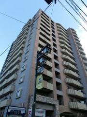 ドゥーエ練馬