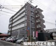 エクセルシオール