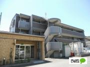 グランコート横川