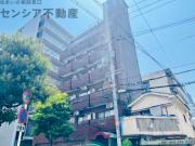 ルネッサンスルイード