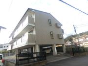 土佐っ子参拾壱番館