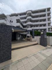 湘南新宿ライン(宇都宮/横須賀)浦和駅まで徒歩11分