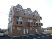 レディーバード