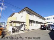 アムールHaruta A