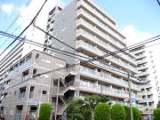 メイウール木川中里