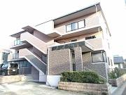 ベルフラワー