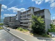 PHOENIX COURT 交野 II 南棟