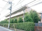 カーサ501