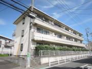 グローバルハイツ中山A