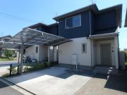 グリーンセトル万倍