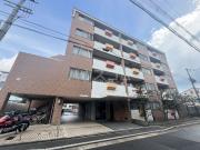 TAM′S COURT