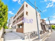 Poinsettia