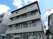 ルーキー東条