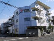 ウインベルデュエット川口