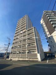 NS小峯
