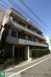 シンシア学芸大学