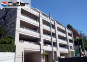 パルシオ本山鹿子町305号