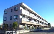 Cielo Garden I