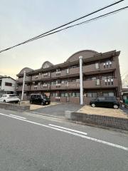 コートグレース