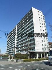 東京メトロ有楽町線辰巳駅まで徒歩9分