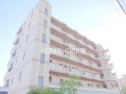 ピアヒルズ市川堀之内