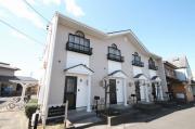 DUPLEX 国王30B