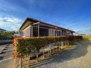 ガーデン・向日葵