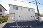 Yヨウトウ7パナメゾン