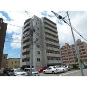 willDo南12条