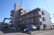 シャルマン市坪