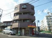 コート菊島