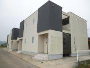 トレステーラ shin