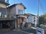 春風と子犬のティロワール