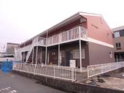 サンライズ芳川