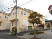 セルレアパレスC