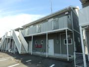 セントポーリア葵B