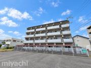 カサコモダ6