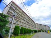 マンション柏サルビア