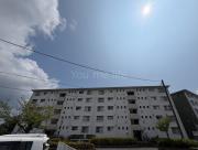 洋光台南第1団地