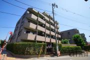 都営大江戸線光が丘駅まで徒歩11分