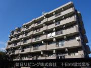 グリーンライン中山駅まで徒歩14分