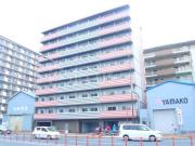 ＪＲ総武線（各駅停車）亀戸駅まで徒歩12分
