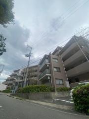 K緑地
