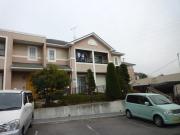 ドレスデン 犬猫可