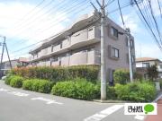 シャン ヒルズ