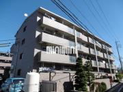 GRACIA グラシア