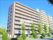 岩井通COSMOS